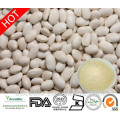 Fornecimento por atacado de alta qualidade branco feijão extrato em pó 4: 1 Phaseolin1%